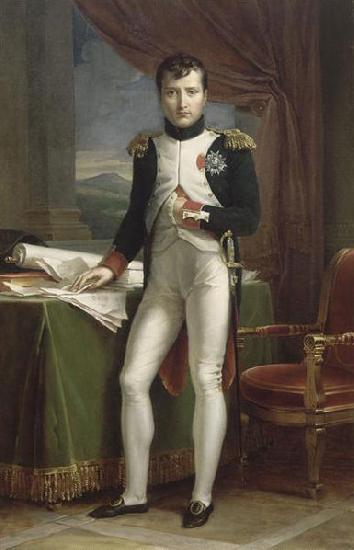 Francois Pascal Simon Gerard Portrait de Napoleon Ier en uniforme de colonel des grenadiers a pied de la Garde oil painting image